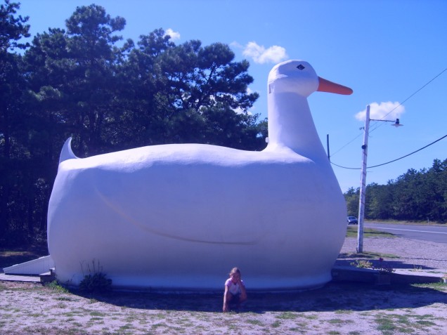 THE BIG DUCK